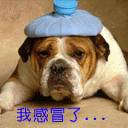 大頭貼 #852