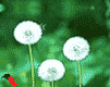 表情符號 #26989
