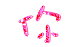 表情符號 #32278