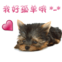 表情符號 #50872