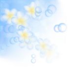 表情符號 #53709