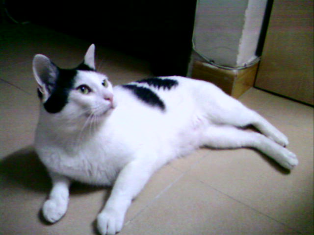 表情符號 #58423